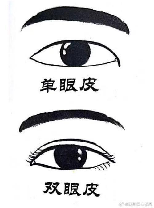 韩国双眼皮修复多少钱？口碑与评分怎么看