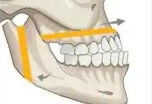 功效大比拼：針對不同需求的選擇