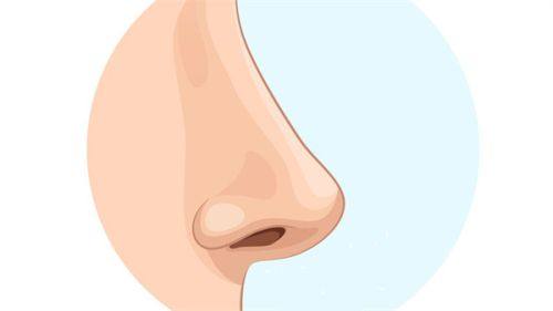 喬雅登不同型號怎麼選之各型號維持時間