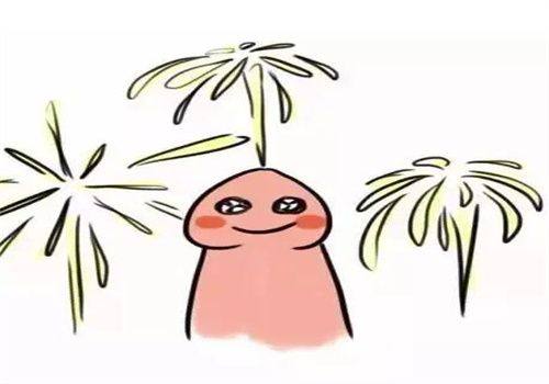 價格差異與療程規劃